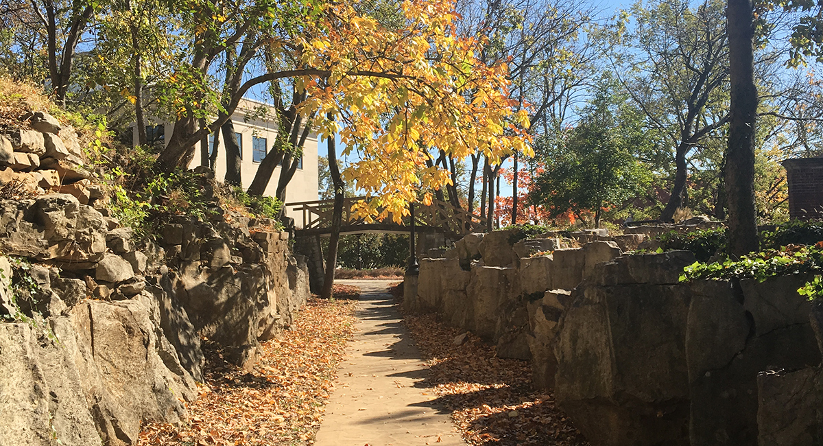 Tuition & Fee Schedules