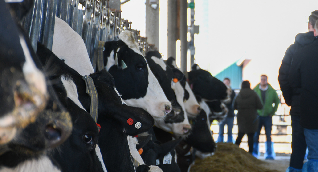 Department of Agriculture & Food Science