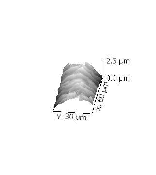 This is an AFM scan of human hair Human Hair