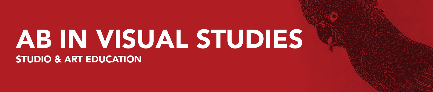 AB in Visual Studies