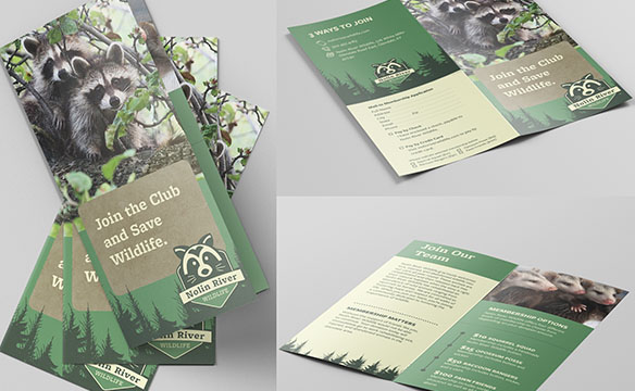 Nolin Brochure Design 2