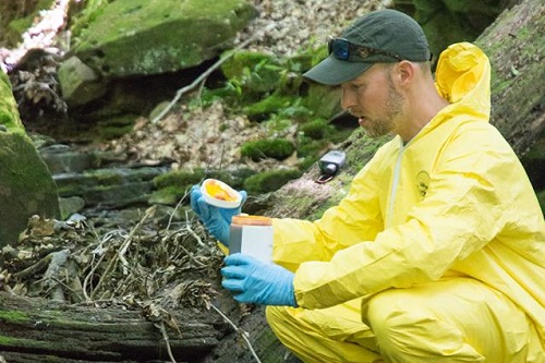 CHL Core Products and Services