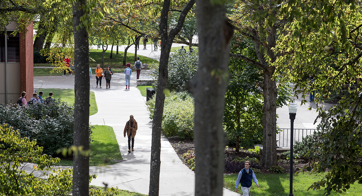 Best Expectation Program