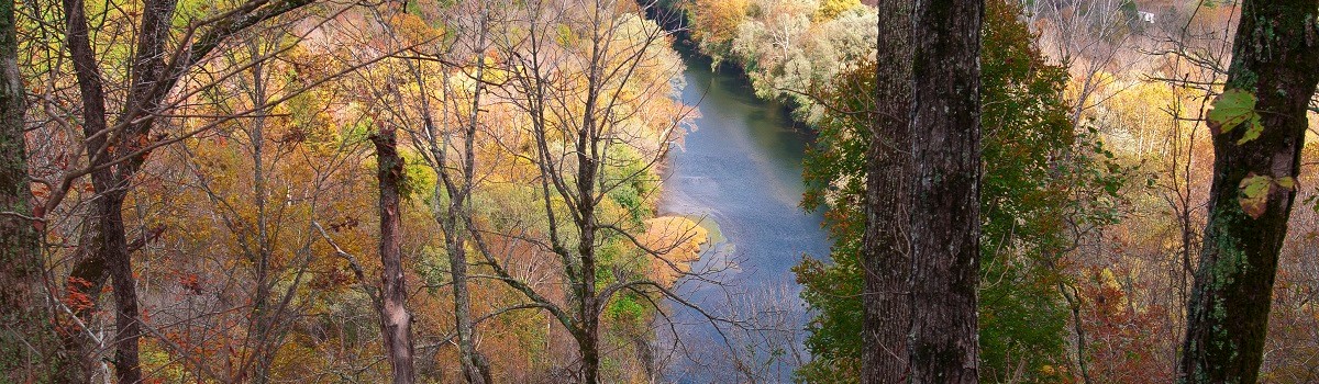 Department of Biological Sciences
