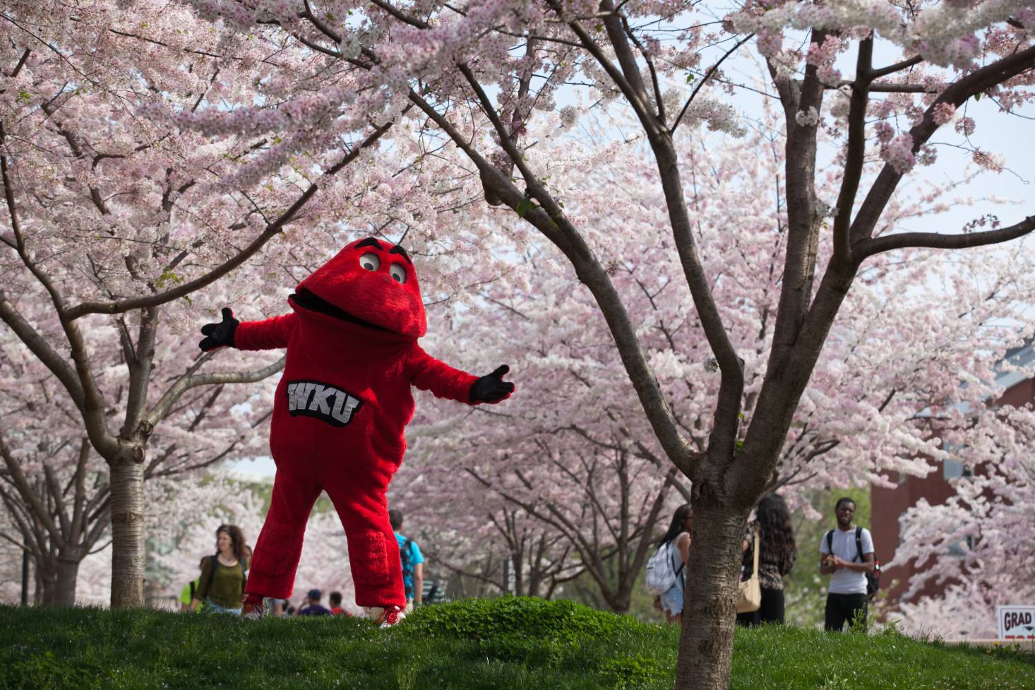 CHHS Committees and Workgroups