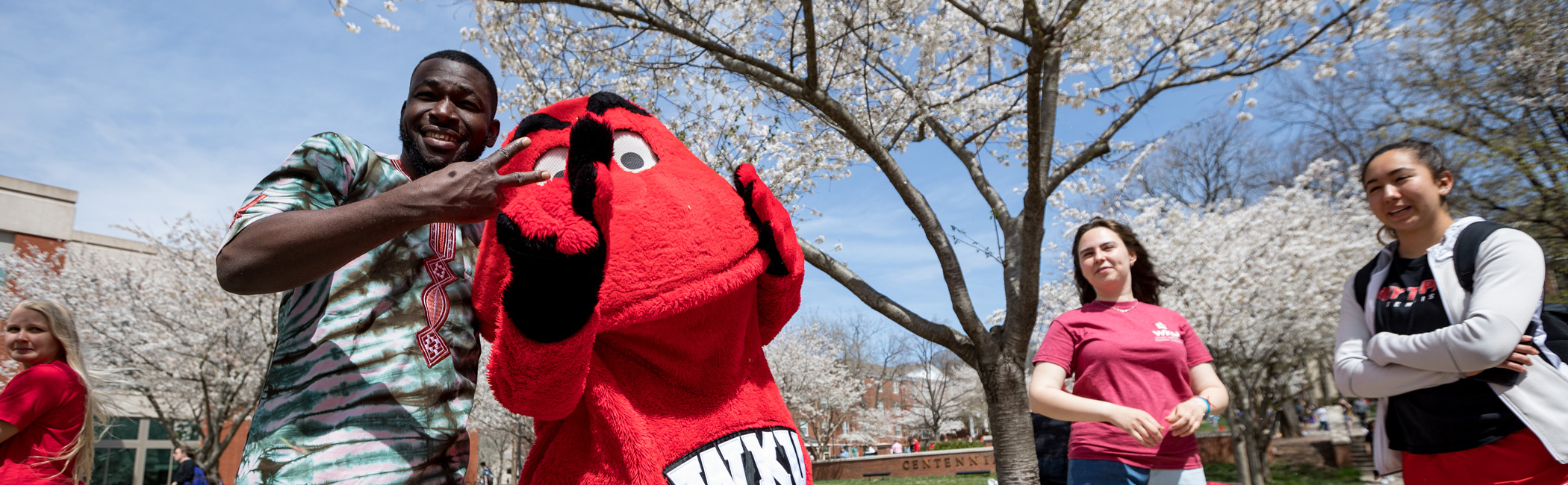 Your Student Success Advocate