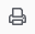 Print Icon