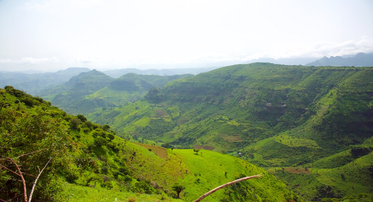 Department of Earth, Environmental, and Atmospheric Sciences