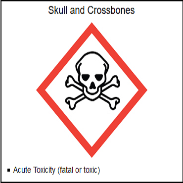 Skull and Crossbones
