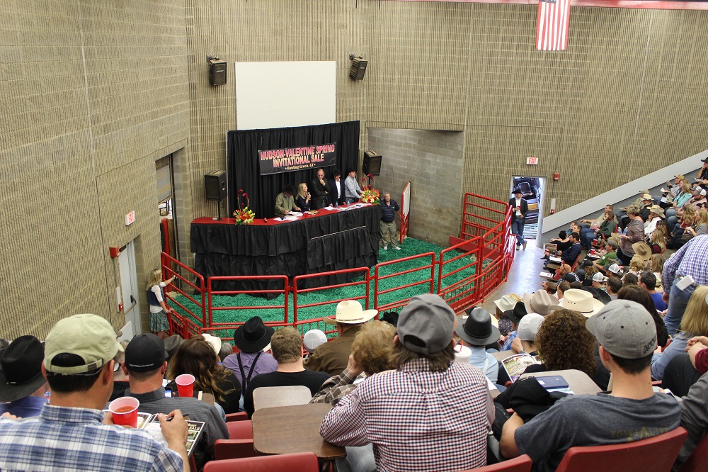 hudson-valentine sale