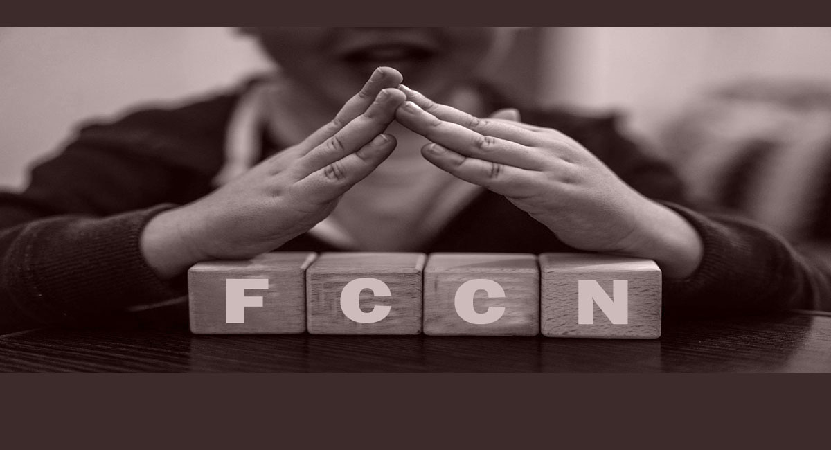 Elevating family child care in Kentucky from Start to STARS