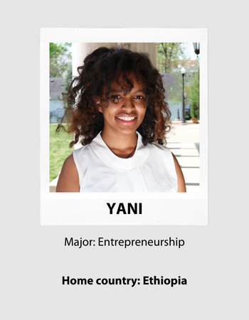 Chat with Yani Chat with Yani