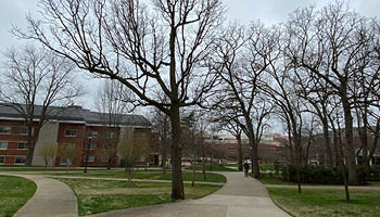 Students walking on campus