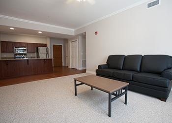 Apartment interior living room and kitchen