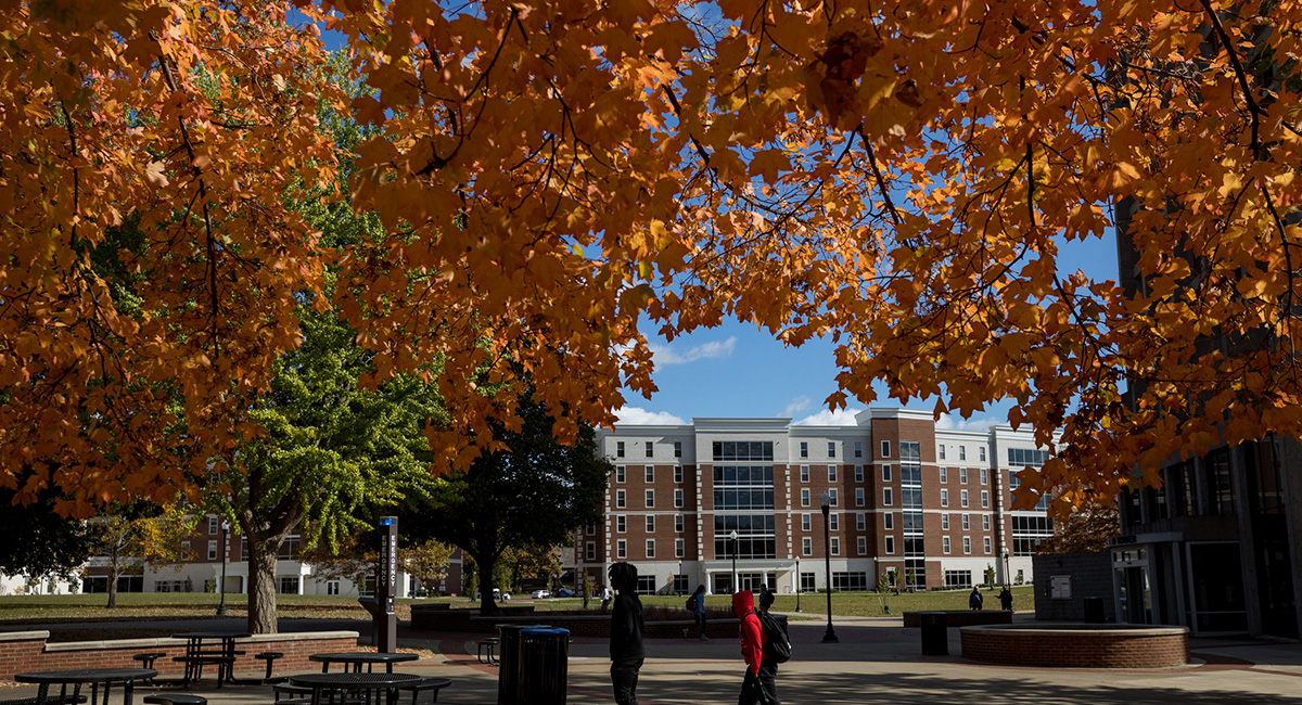 Thanksgiving Closedown