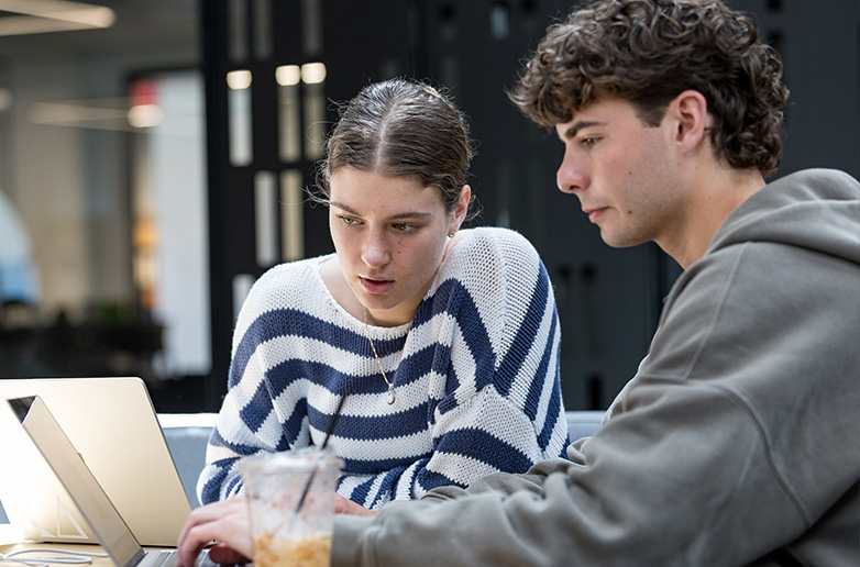 Two Interdisciplinary Studies (BIS) students studying in the library.
