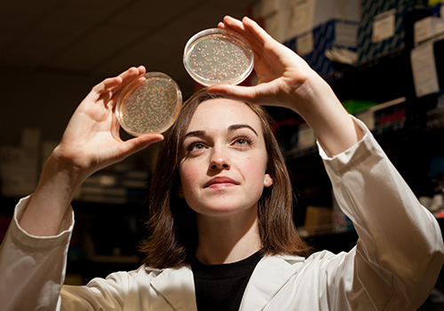 Summer of Research, Internships, and Study Abroad Await Gatton Academy  Students | Western Kentucky University