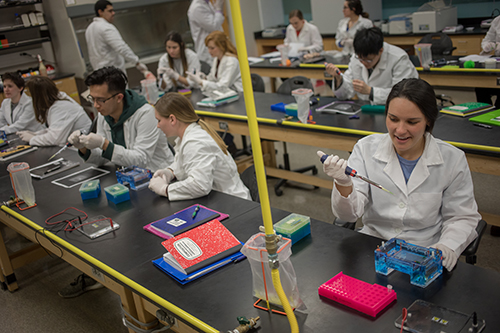 WKU launching Molecular Biotechnology major this fall | Western Kentucky  University