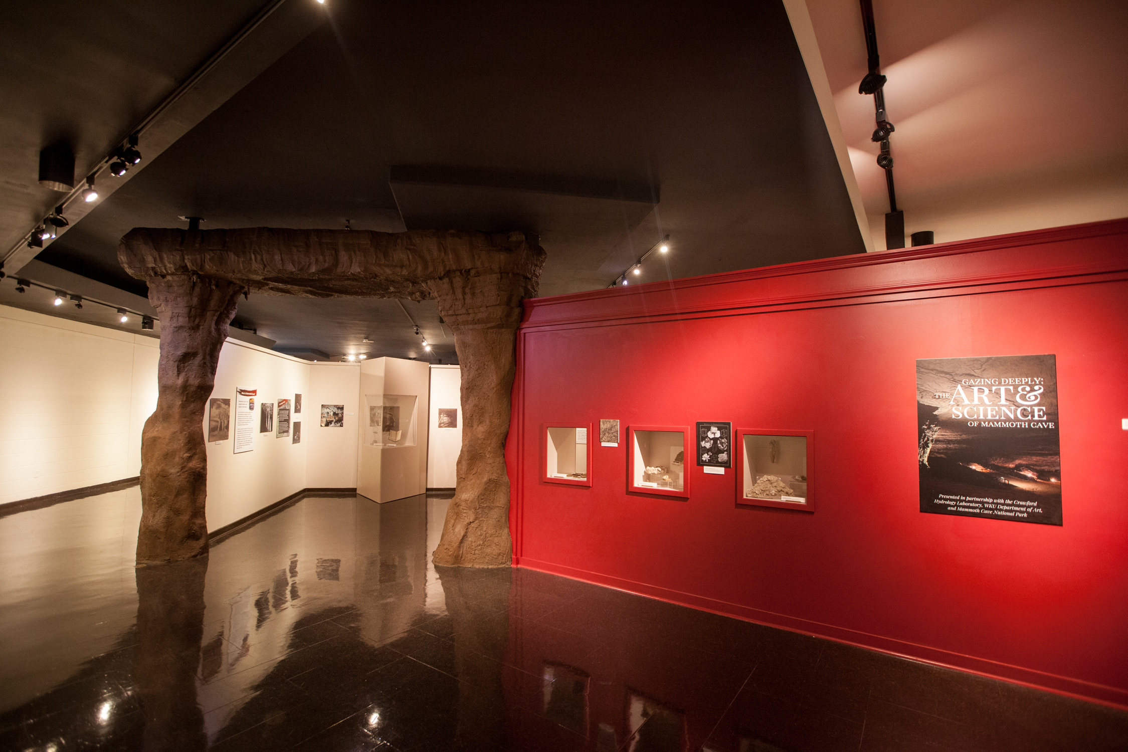 Entrace to Gazing Deeply exhibit