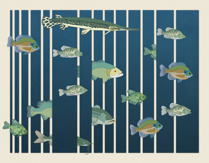 Illustration of water quality data using lines and fish