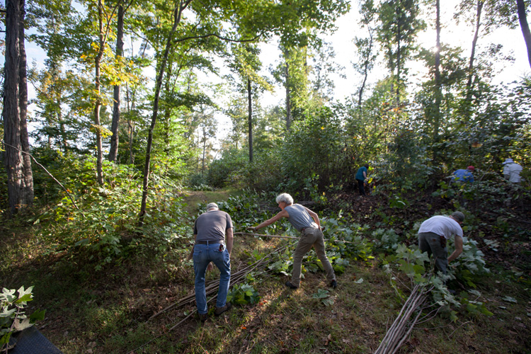 Harvest for Stickwork