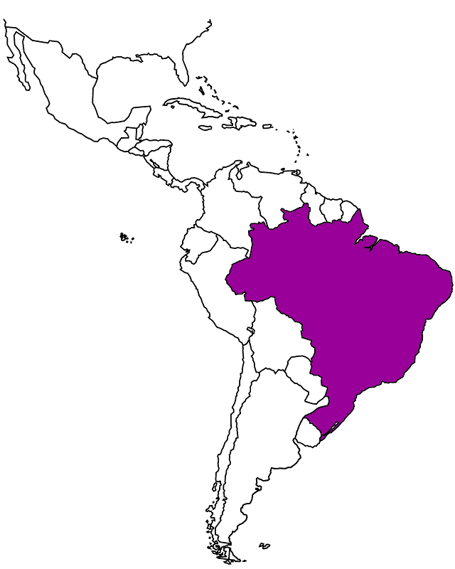 Brazil