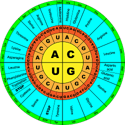 Student Organizations | Western Kentucky University