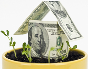 Picture of dollar bills