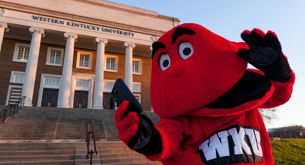 Marketing Consultations