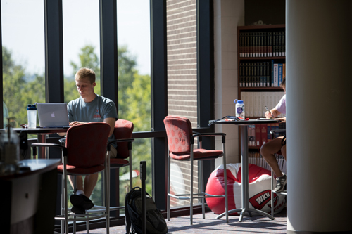 Student sitting in a chair and looking at a computer