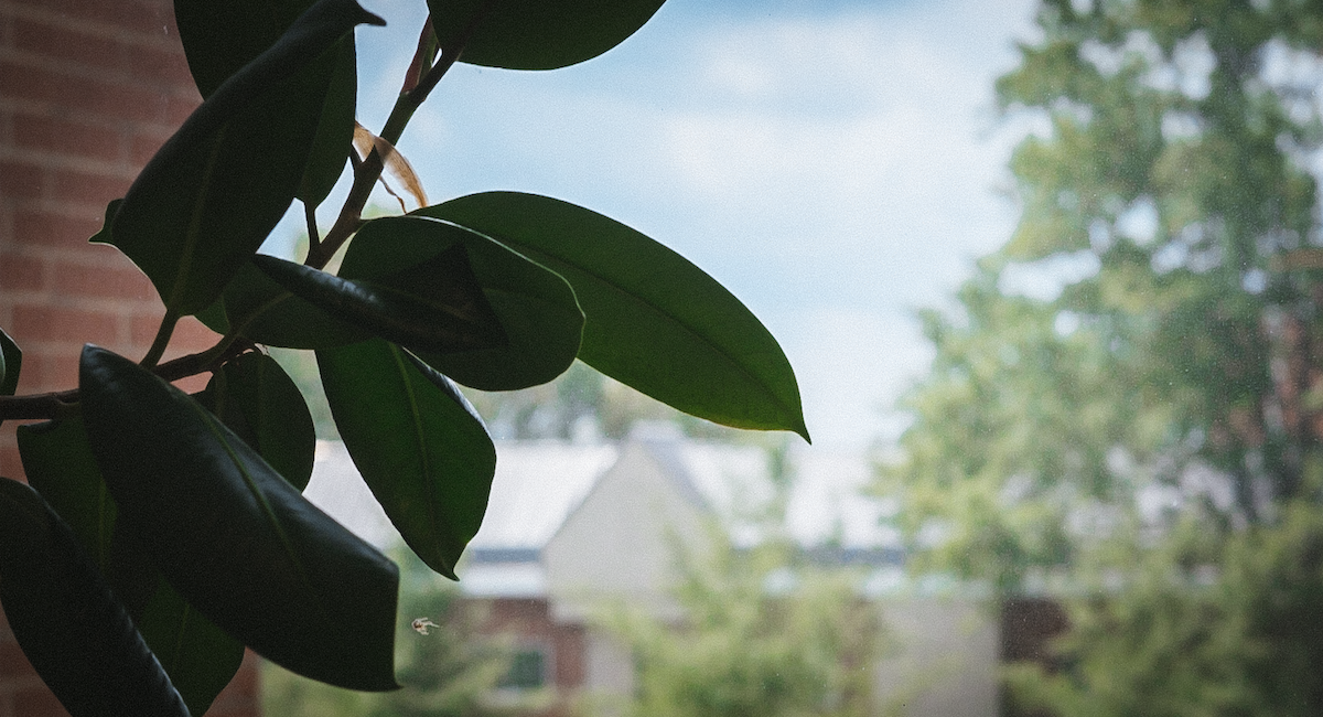 WKU MBA Admissions Requirements