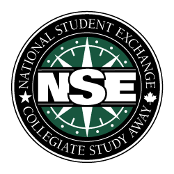 NSE Logo