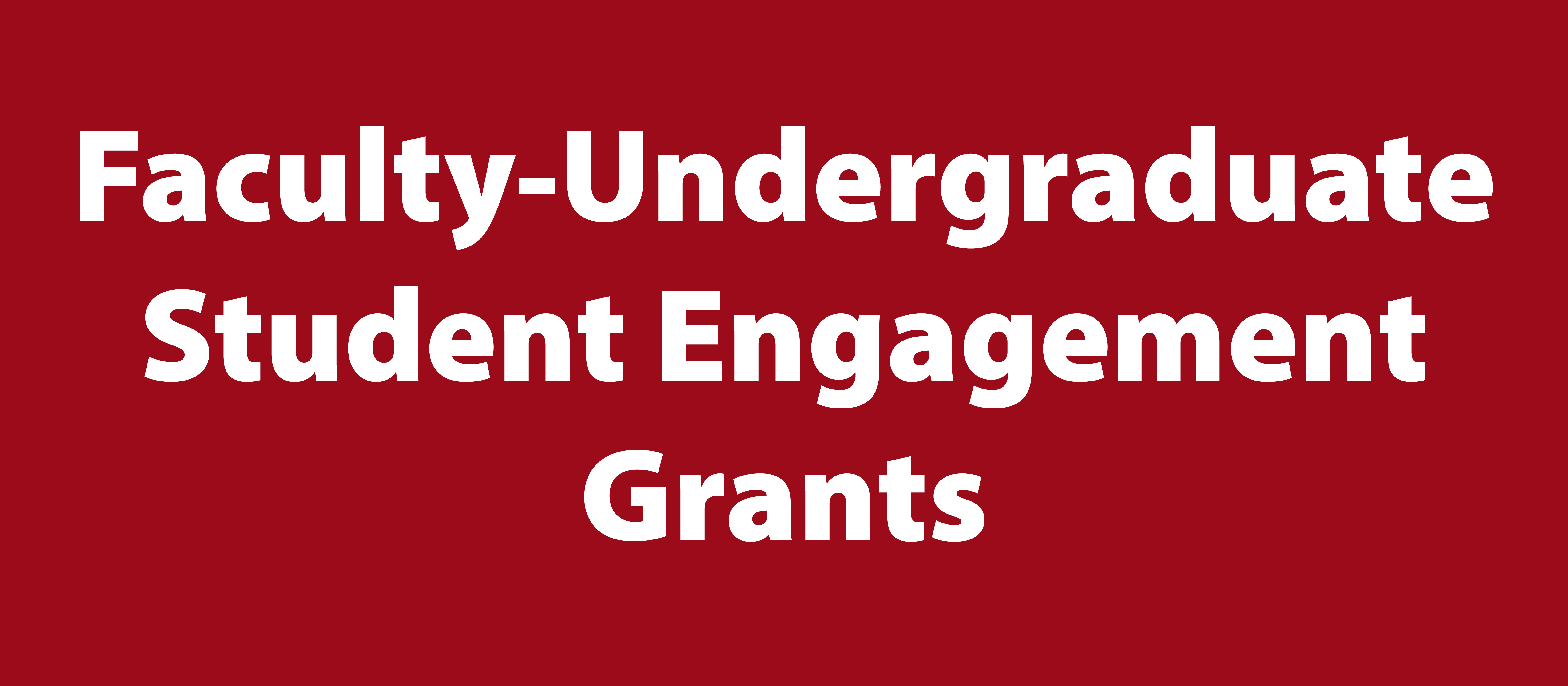 Faculty-Undergraduate Student Engagment Grants