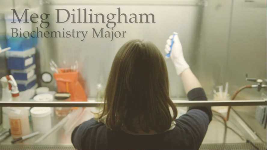 The WKU Experience: Meg Dillingham Video Preview