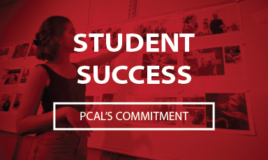 Social Advocacy Button