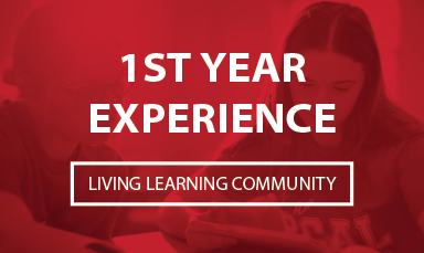 1st Year Experience Button