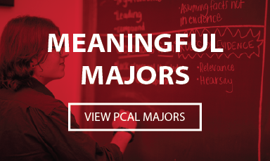 meaningful majors buttons