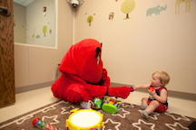 A student researcher in Dr. Hahn's lab