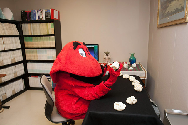 Big Red Inspecting Peppers
