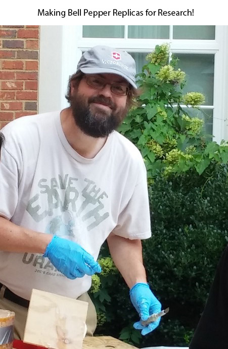 Farley making bell pepper replicas Farley making bell pepper replicas
