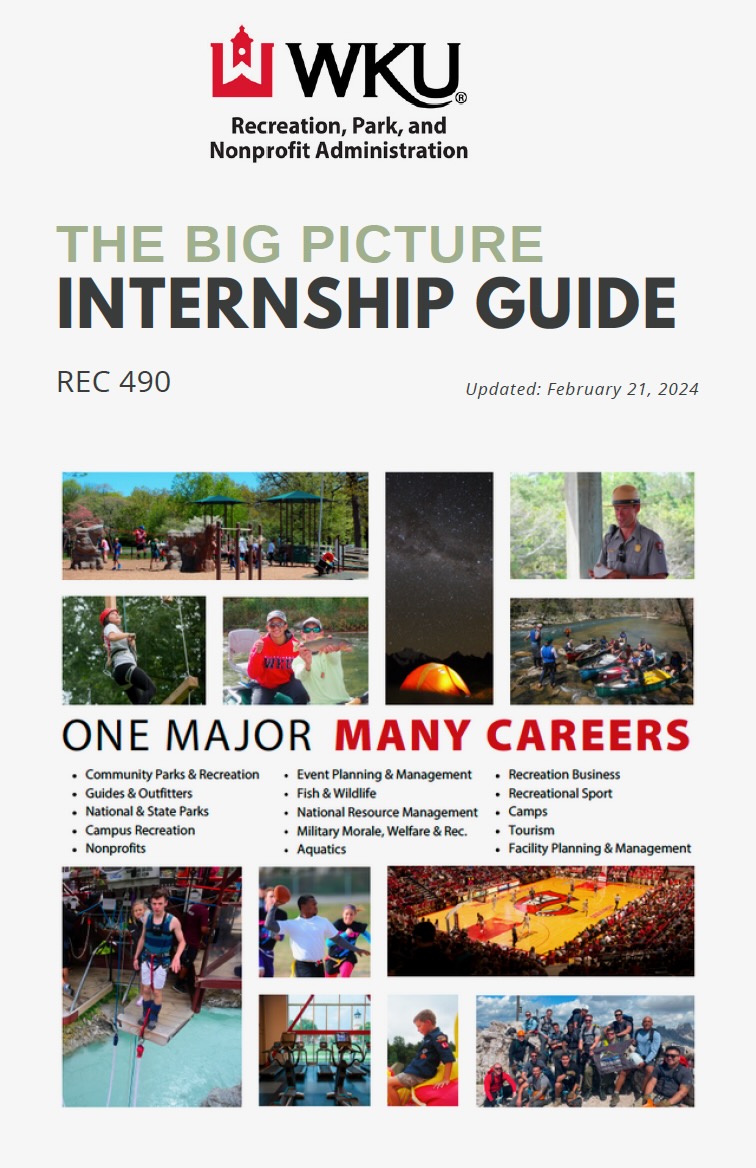 Internship manual graphic and link Internship manual graphic and link