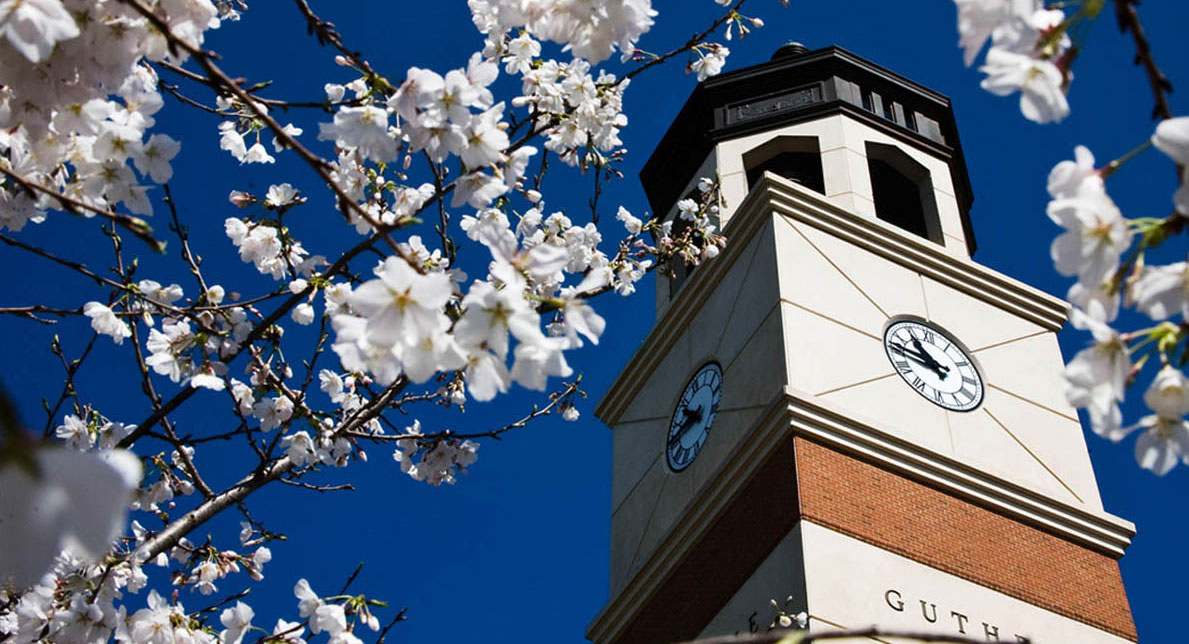 Graduate options to strengthen your future.