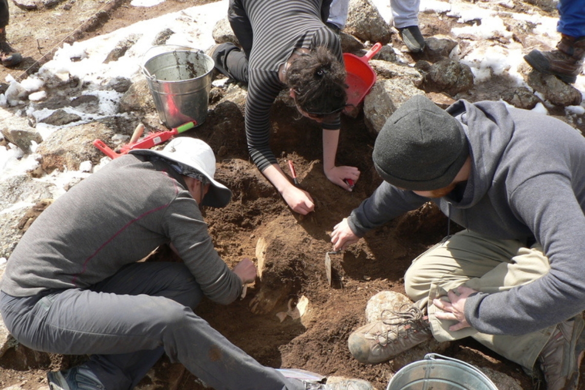 students digging at archaeological site
