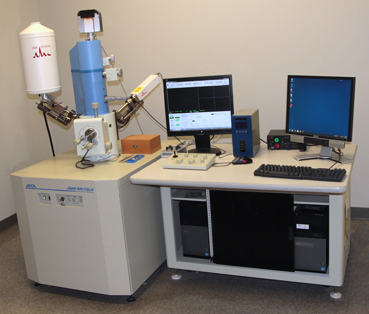Scanning and Transmission Electron Microscopy