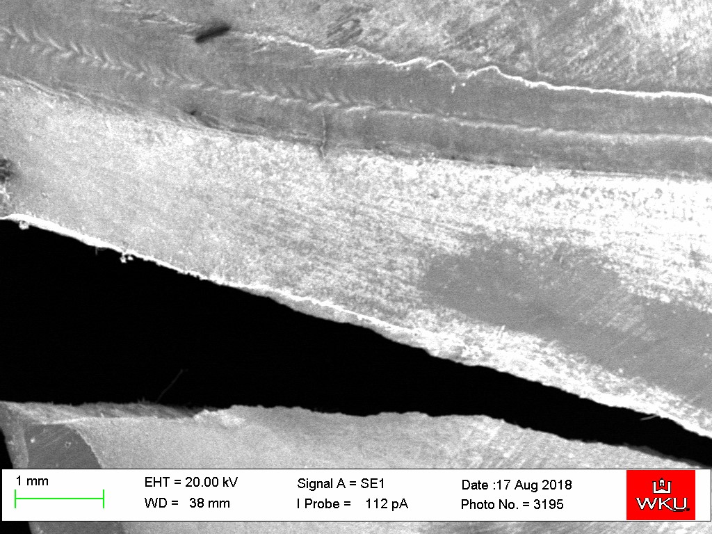 Image taken using LCSEM