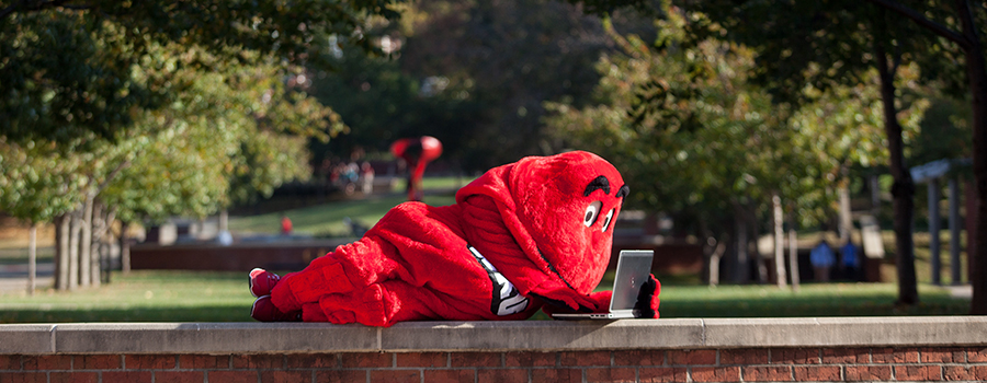 Information For Students and Parents