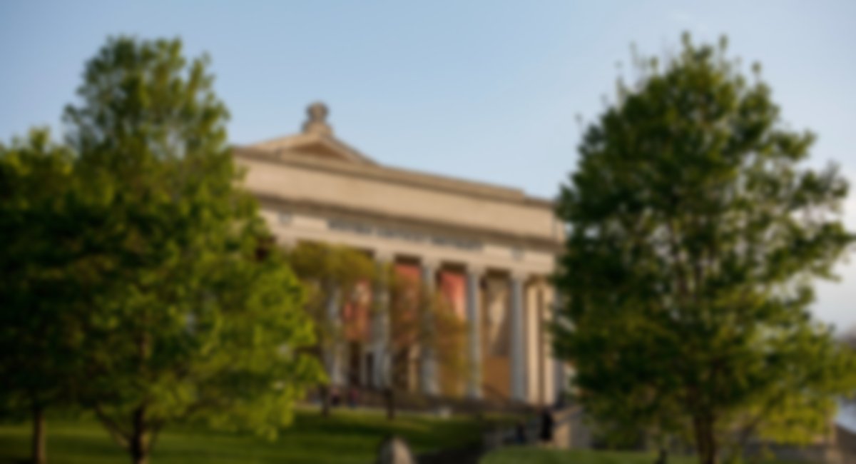 Strategy, Operations & Finance