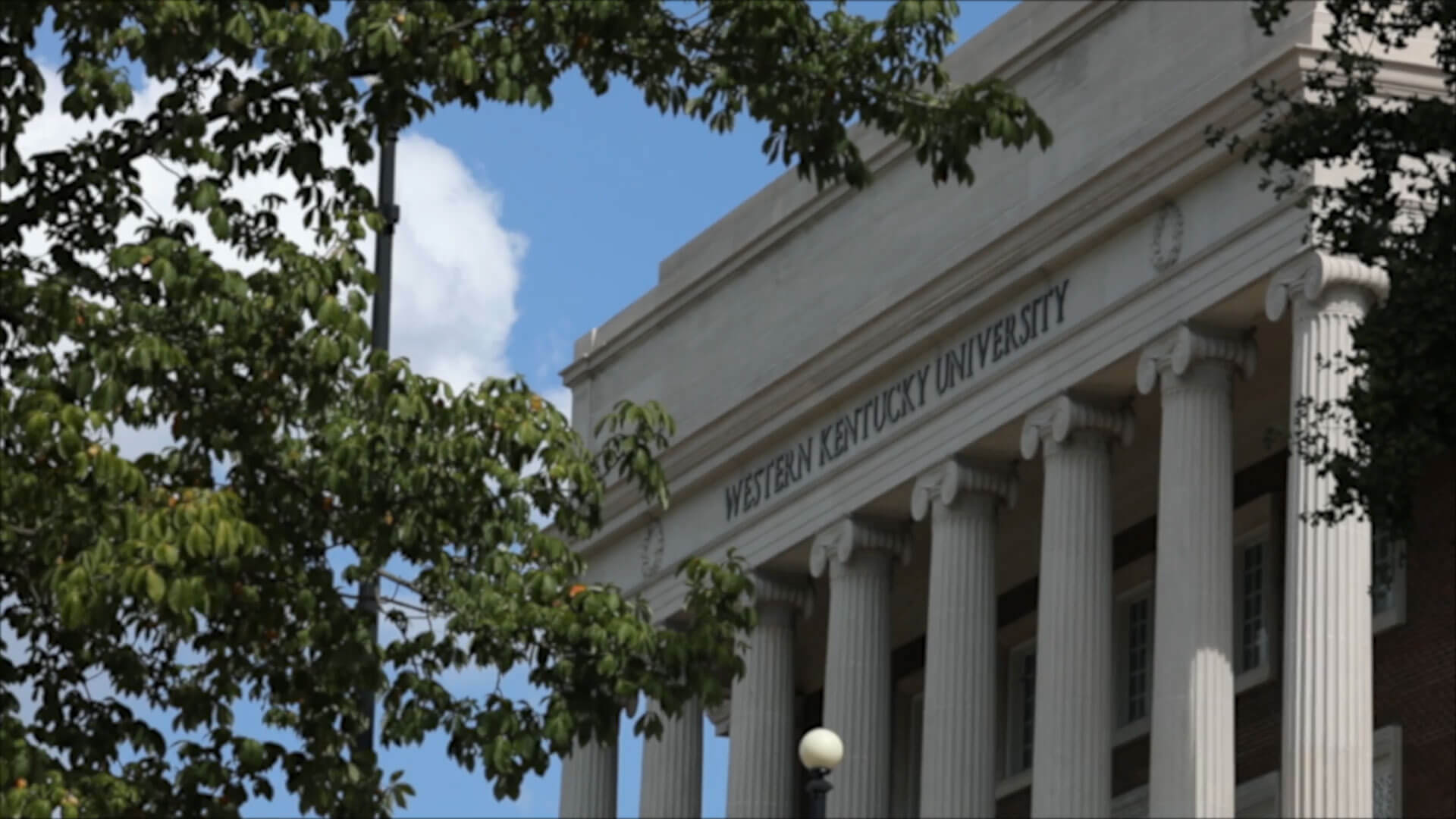 WKU's campus - A tree and building