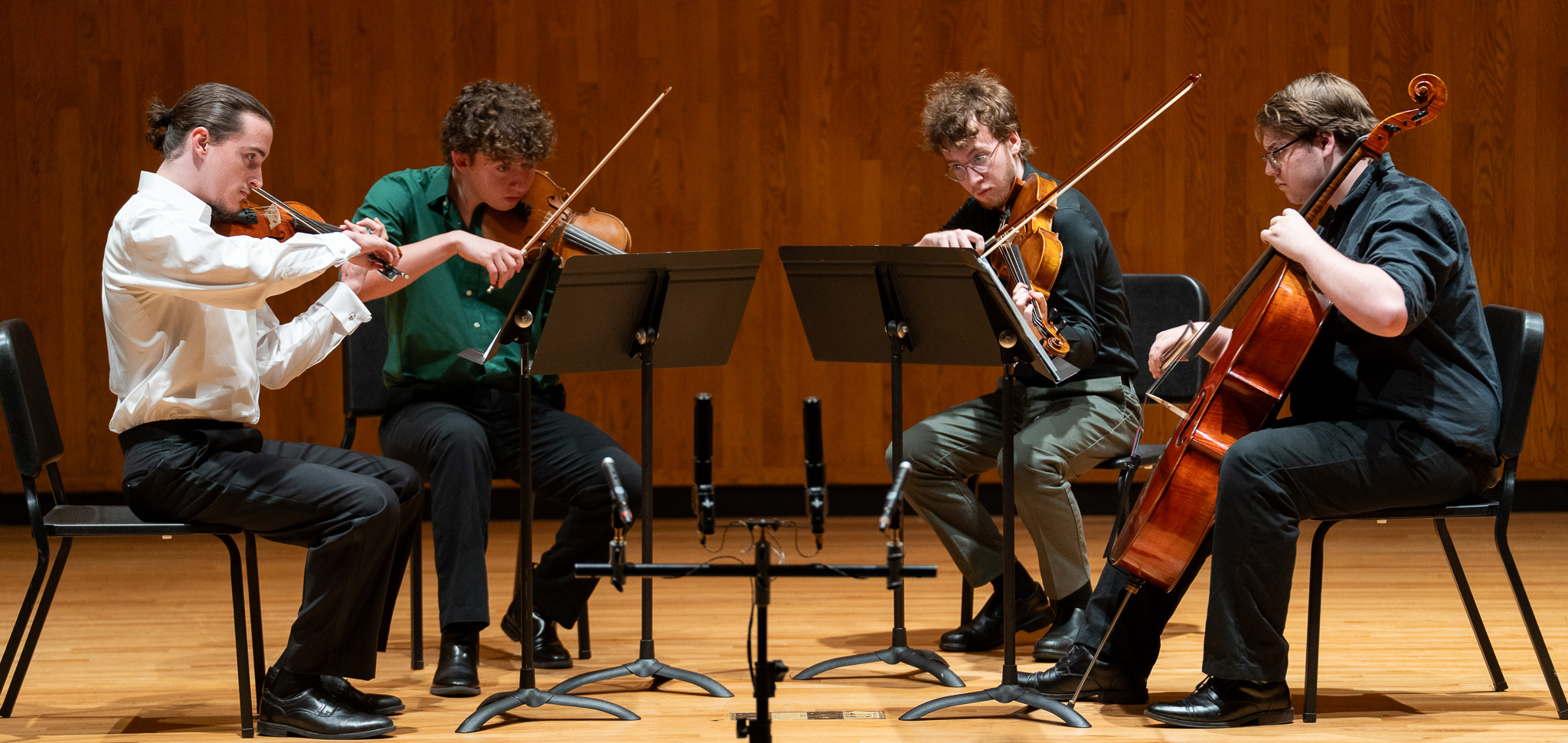 string quartet Hilltop String Festival
