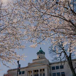 Cherry Hall with cherry trees